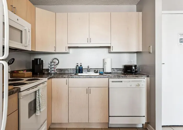 Mich Ave Downtown Grant Park, Museums 2bd-2ba #5